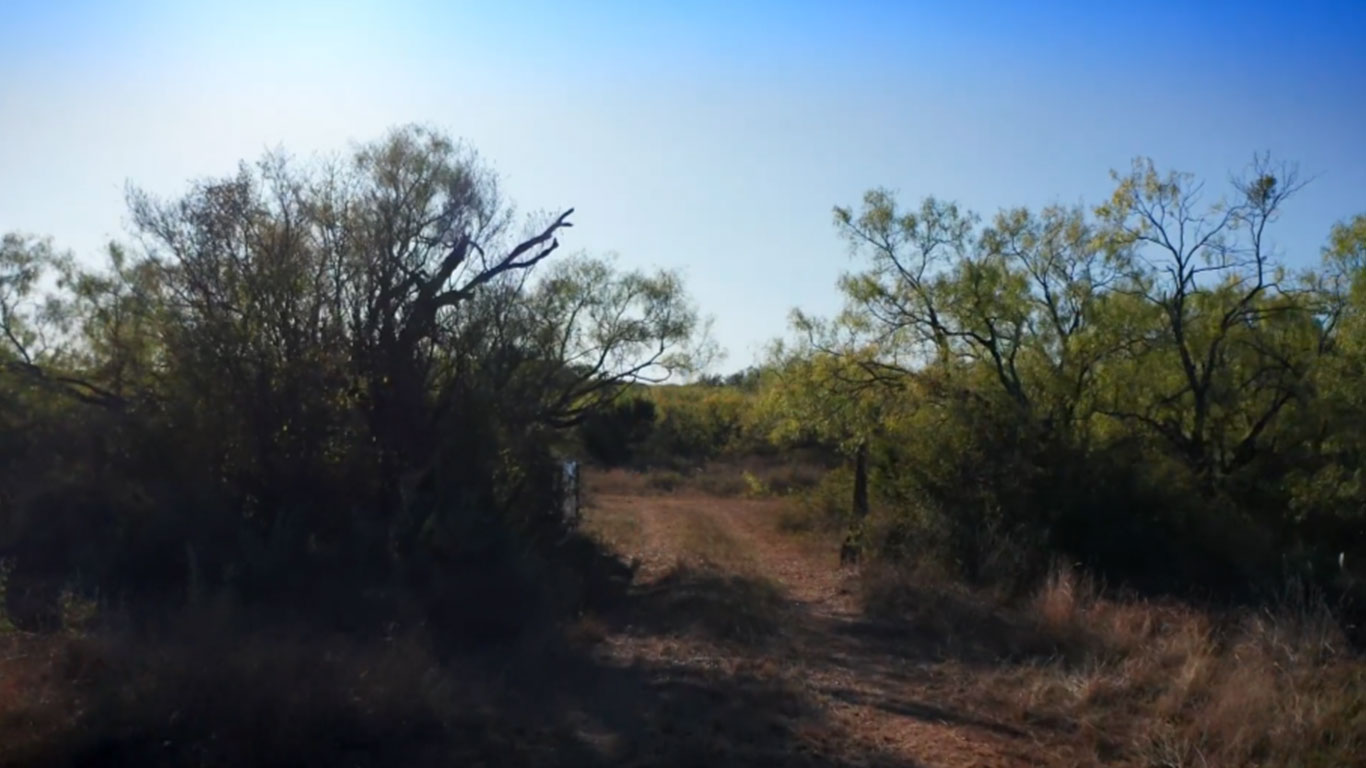 A dirt path winds through dry grass and sparse green trees under a clear blue sky in Mercury TX, with dense shrubs and bushes lining the trail—a beautiful snapshot of 76872 real estate scenery.
