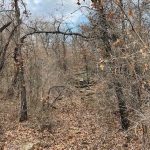 A leaf-covered forest path at 1502 Jones Rd, Woodson TX winds through bare trees with branches reaching overhead. The ground is scattered with rocks and fallen leaves, and the sky above is partly cloudy.