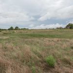 A wide, open grassy field with patches of dry and green grass under a cloudy sky. A few trees and distant houses are visible along the horizon.
