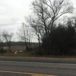 A rural roadside scene with leafless trees, a grassy field, and cloudy sky. Power lines cross the image, and a small sign is visible near the edge of the road. The atmosphere appears calm and overcast.