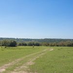 A dirt path runs through a wide, grassy field with scattered trees under a clear blue sky. Low, forested hills are visible in the background.