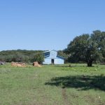 A blue barn stands in the distance on a green grassy field with scattered hay bales and large trees under a clear blue sky.