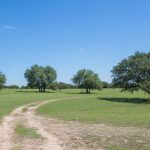 A dirt path curves through a grassy field with scattered green trees under a clear blue sky.