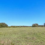 A wide, open grassy field stretches toward the horizon, bordered by clusters of green trees under a clear, bright blue sky.