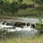 A small stream flows over rocks, creating a gentle waterfall surrounded by green grass and bushes, with calm water reflecting the nearby foliage.