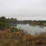 A small, calm pond surrounded by grassy vegetation and shrubs under an overcast, cloudy sky. The landscape appears natural and slightly wild.