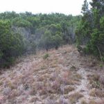 A grassy, rocky hillside with dry brown grass and scattered green bushes and trees under an overcast sky.