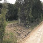 A dirt road runs past a wooded area with tire tracks leading off the road. Two signs are posted near the trees, one on a wooden post and another reading "BL." The surroundings are green with dense foliage.