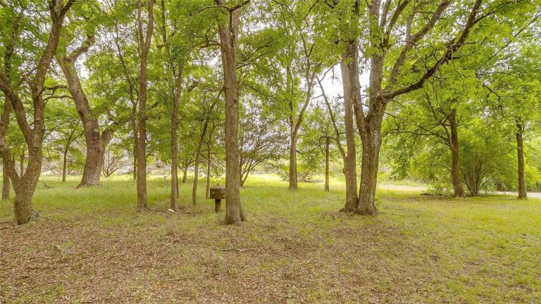 A grassy clearing in a wooded area with tall, leafy trees and scattered sunlight. A small metal box, possibly a grill or utility box, is seen among the trees. The ground is covered with leaves and grass.