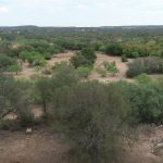 A wide landscape view of a dry, grassy area with scattered green trees and shrubs. In the foreground, there are sparse trees and a small wooden structure on the ground. The sky is partly cloudy.