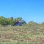 A small, weathered house with a rusty roof sits among trees in a grassy, open field under a clear blue sky.