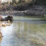 A clear, shallow stream flows through a rocky, wooded area with bare trees and fallen branches along the banks under natural daylight.
