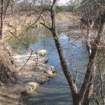 A quiet, shallow creek flows through a rocky, wooded area with leafless trees and sparse greenery, reflecting the clear sky above.
