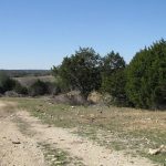 A dirt road runs through a grassy, rocky area bordered by green bushes and trees under a clear blue sky, with distant hills visible in the background.