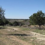 A dirt path runs through a grassy, open landscape with sparse trees and shrubs under a clear blue sky. Rolling hills and more greenery are visible in the distance.