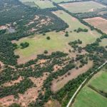 Aerial view of a rural landscape near County Road 419, De Leon TX 76444, with patches of green fields, clusters of trees, dirt roads, and open meadows, showing a mix of wooded and cleared areas.