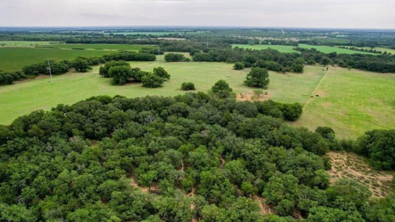Aerial view of a rural landscape near County Road 419, De Leon TX 76444, featuring dense green trees in the foreground, open grassy fields, scattered trees, and a cloudy sky in the distance.