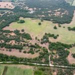 Aerial view of a rural landscape in De Leon TX 76444, featuring open grassy fields, scattered trees, patches of dense forest, dirt paths, and County Road 419 cutting through the bottom of the image.