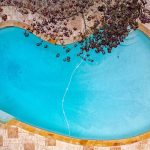 Aerial view of a kidney-shaped swimming pool with clear blue water, surrounded by beige stone tiles and some overhanging tree branches.