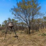 A metal deer feeder stands on tripod legs in a dry, grassy field with scattered trees and bushes under a blue sky with a few clouds.