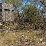 A camouflage hunting blind stands on stilts in a dry, grassy area surrounded by sparse trees, bushes, and patches of prickly pear cactus. The sky is clear and blue.