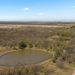 A small pond is surrounded by dry, sparse vegetation in a vast open landscape under a blue sky with a few clouds. A dirt path winds through the area, and a person is visible near the lower right corner.