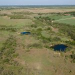 Aerial view of a rural landscape with open fields, scattered trees, and two small ponds surrounded by greenery under a clear sky.