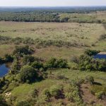 Aerial view of a vast grassy landscape with scattered trees, two small ponds, and open fields extending to the horizon under a clear sky.