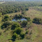 Aerial view of a small pond surrounded by dense green trees and open grassy fields, with more forested areas and clear land extending into the distance.