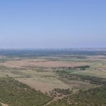 Aerial view of a vast rural landscape with open fields, scattered trees, and a small cluster of buildings; numerous wind turbines line the distant horizon under a clear blue sky.
