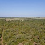 Aerial view of a dense green forest stretching into the distance under a clear blue sky, with open fields and a row of wind turbines visible on the horizon.
