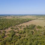 Aerial view of a vast, green landscape with scattered trees, grassy fields, and gentle rolling hills under a clear blue sky.