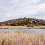 A small pond at the Historic S&S Ranch is surrounded by tall, dry grasses, with a hill covered in sparse trees and shrubs rising in the background beneath a cloudy sky.