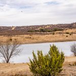 A small, calm pond at the historic S&S Ranch is surrounded by dry, grassy land with scattered bushes and leafless trees under a cloudy sky. A single bird flies in the distance.