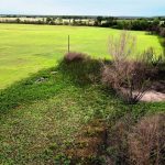 Aerial view of a grassy field with patches of green and brown vegetation, scattered trees, and an area with bare, leafless branches, possibly affected by fire. The sky is clear with a distant horizon.
