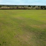 A large, open grassy field with scattered trees along the edge and a line of taller vegetation in the background under a partly cloudy sky.
