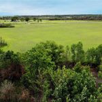 A wide, open field with lush green grass and scattered trees under a blue sky, bordered by dense shrubs and bushes in the foreground.