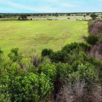 Aerial view of an open grassy field bordered by dense green and brown shrubs and trees, with a road and more fields visible in the distance under a blue sky.
